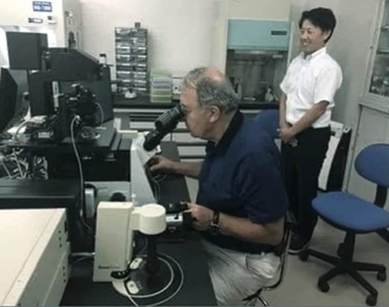 Supervised observation at a laboratory microscope.
