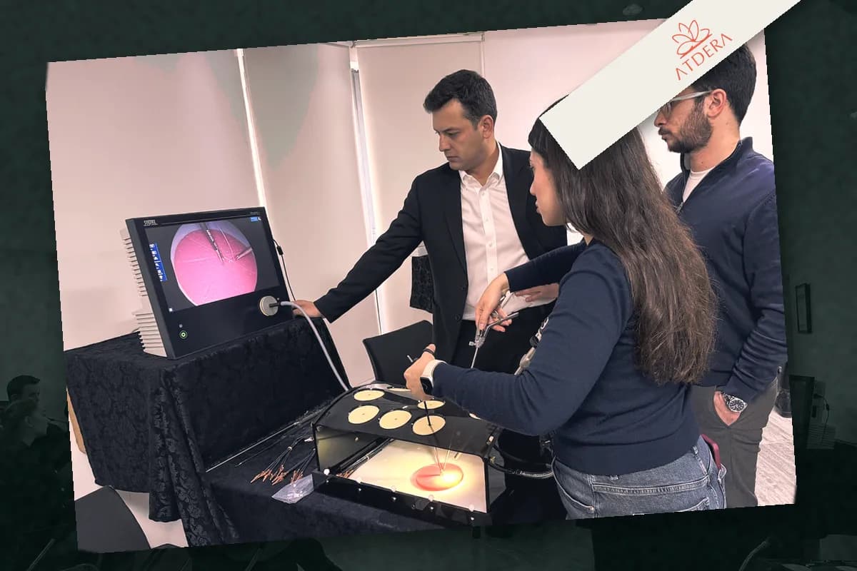 Participants practising on a laparoscopic simulator